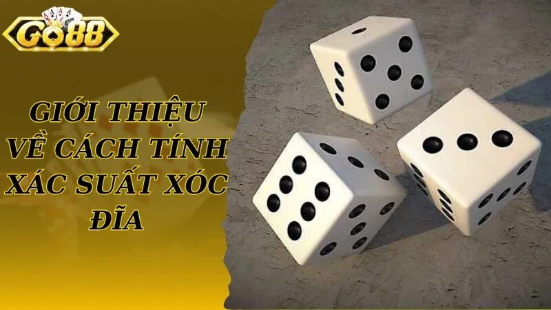 Khám phá chung về cách tính xác suất Xóc Đĩa từ cao thủ