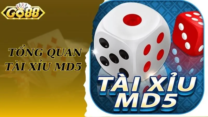 Tổng quan về game tài xỉu MD5